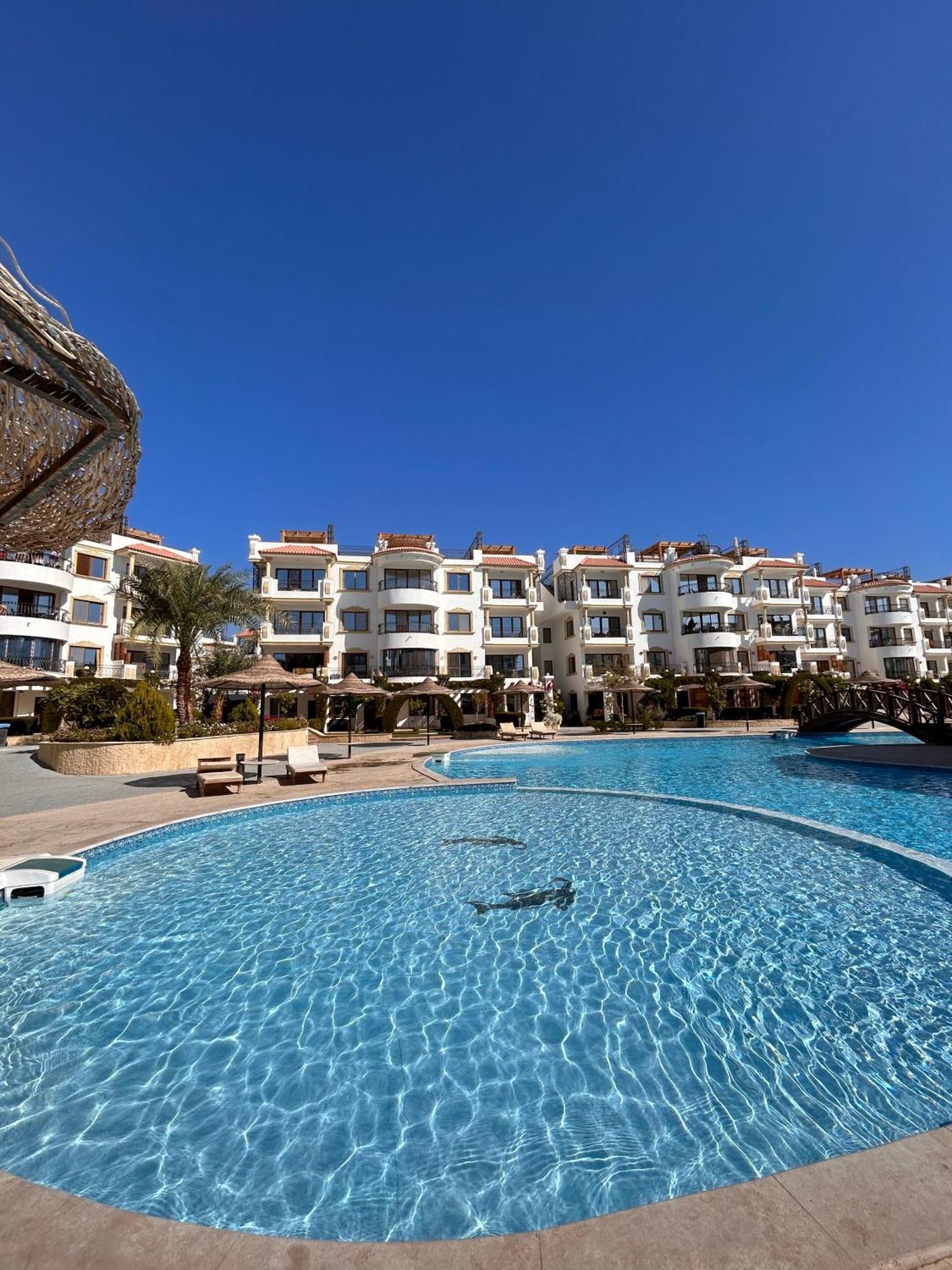 Cosy Studio On The First Floor With Lovely Terrace And Personal Garden Area, Pool View And Free Beach Access In Sharm Hills Resort Eksteriør billede