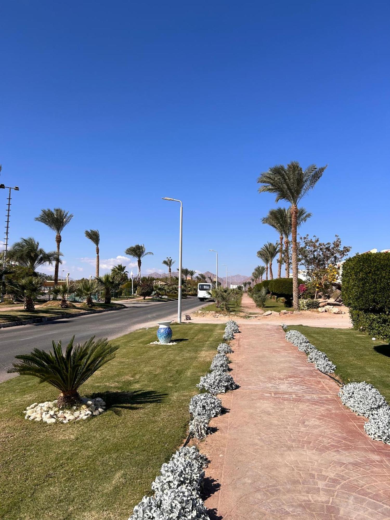 Cosy Studio On The First Floor With Lovely Terrace And Personal Garden Area, Pool View And Free Beach Access In Sharm Hills Resort Eksteriør billede