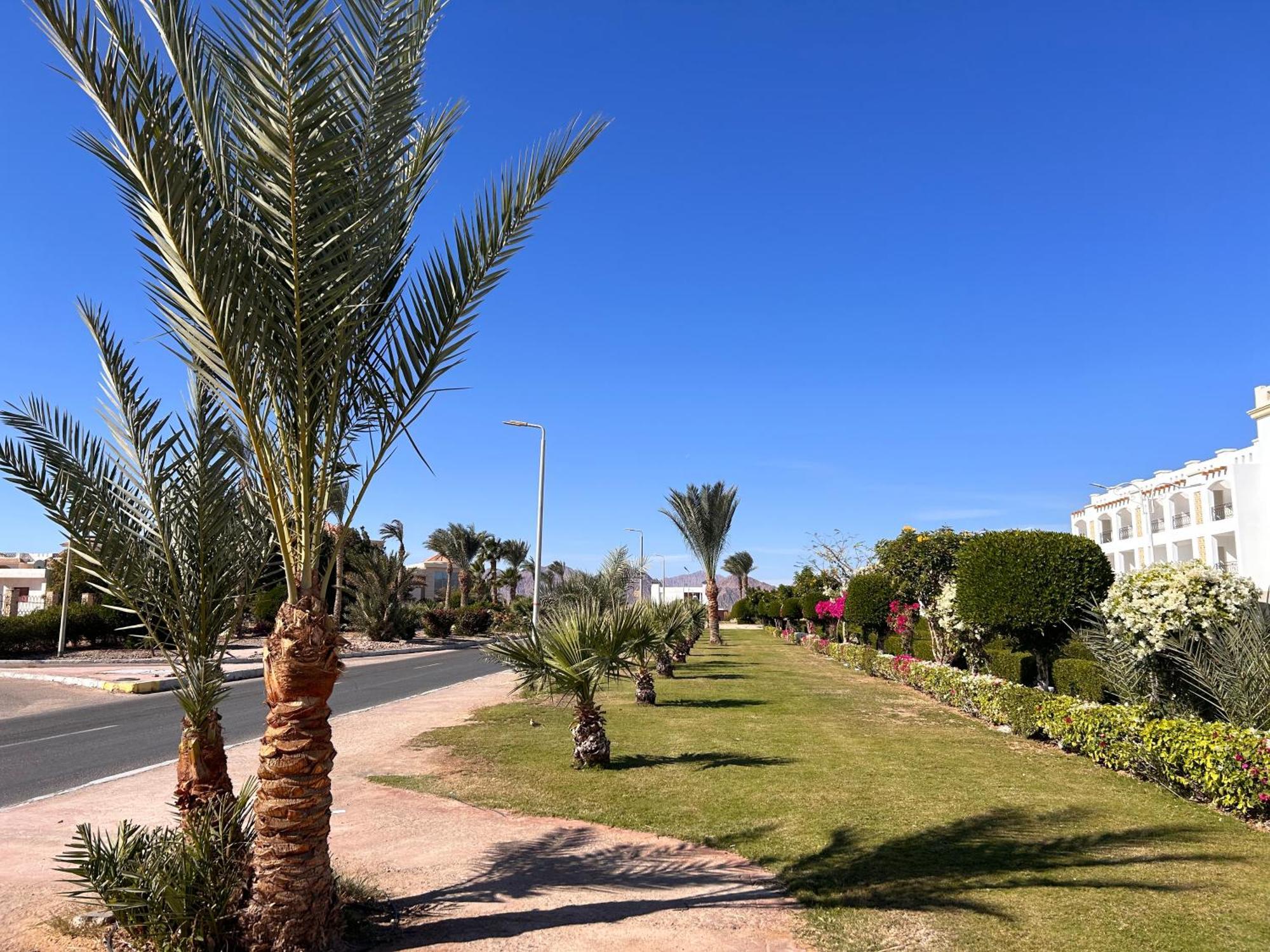 Cosy Studio On The First Floor With Lovely Terrace And Personal Garden Area, Pool View And Free Beach Access In Sharm Hills Resort Eksteriør billede