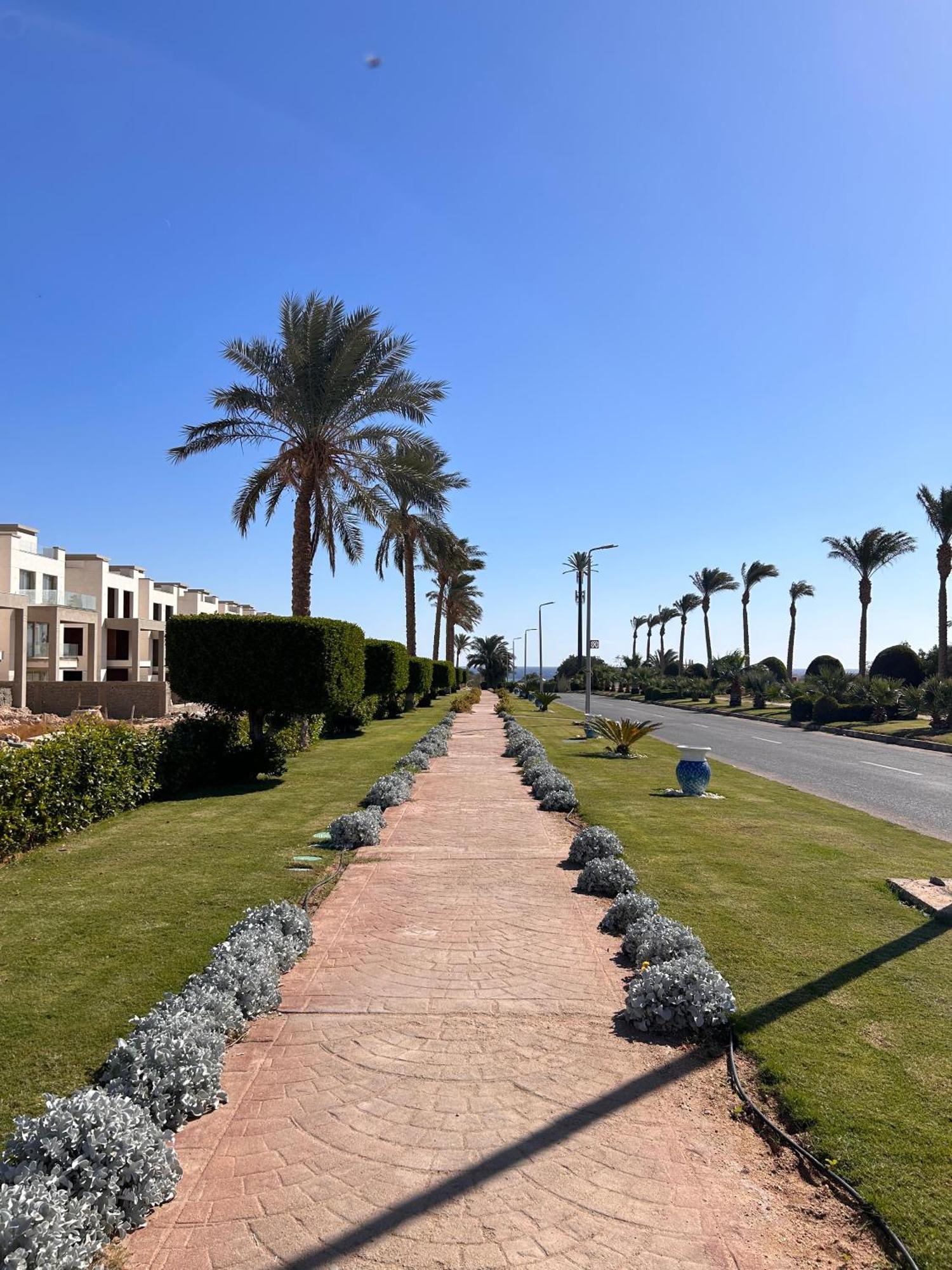 Cosy Studio On The First Floor With Lovely Terrace And Personal Garden Area, Pool View And Free Beach Access In Sharm Hills Resort Eksteriør billede